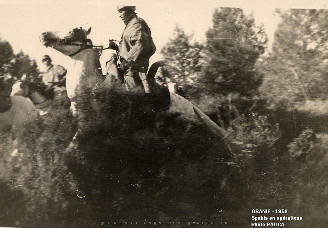 Palica - E- Divers 017.JPG